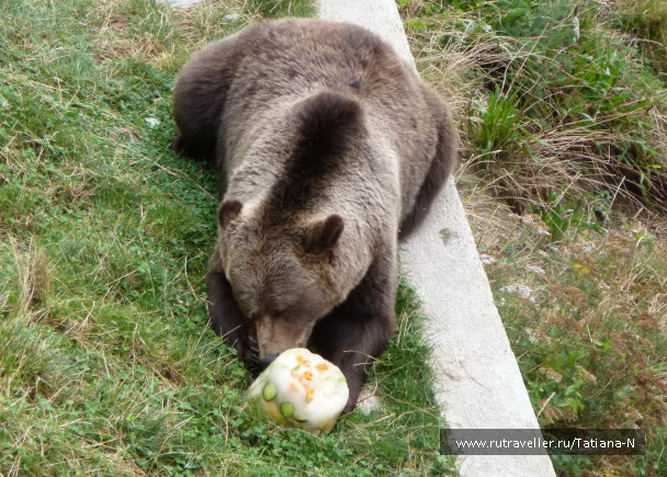 photo 1127436