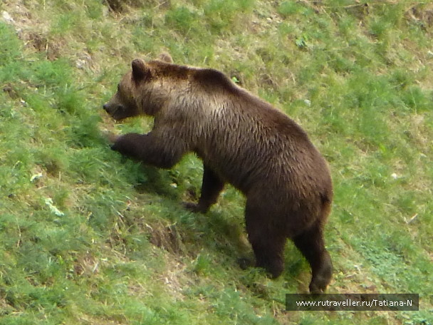 photo 1127438