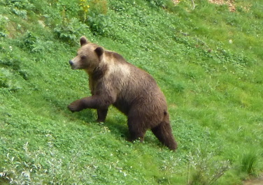 photo 1127439