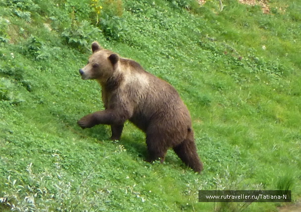 photo 1127439