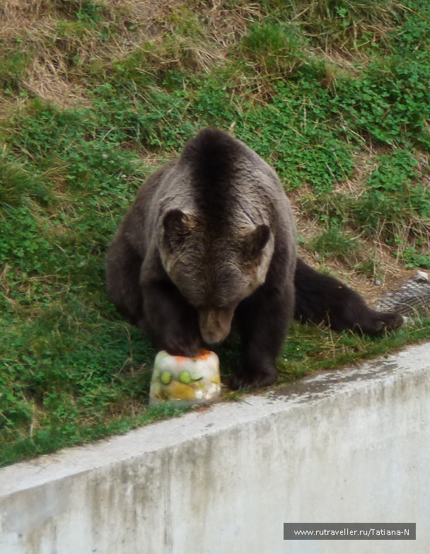 photo 1127440