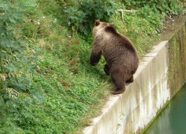 photo 1127441