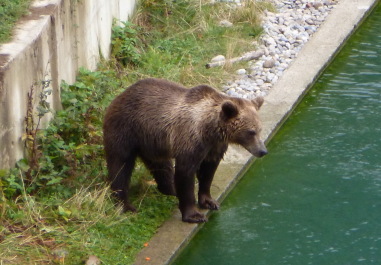 photo 1127442