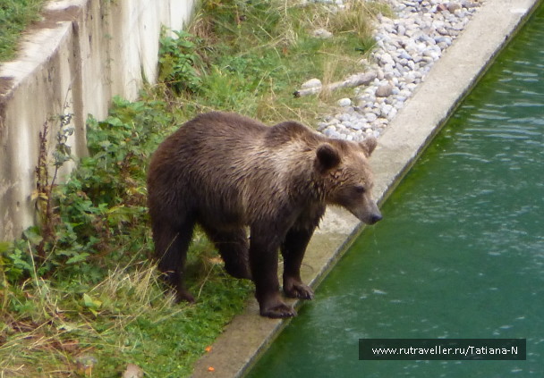 photo 1127442