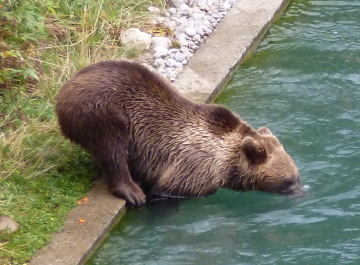 photo 1127443