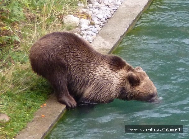 photo 1127443