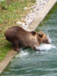 photo 1127444