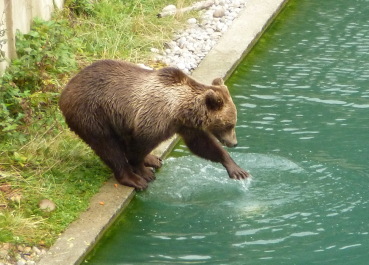 photo 1127445
