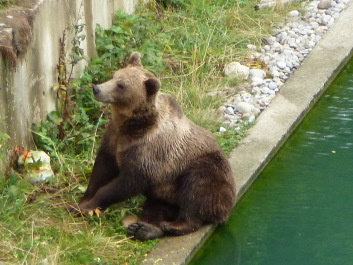 photo 1127446