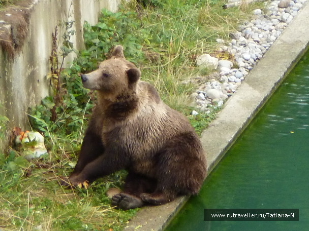 photo 1127446