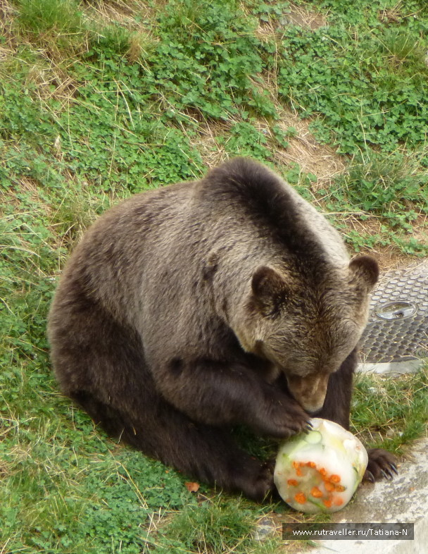 photo 1127447