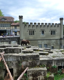 photo 1127449