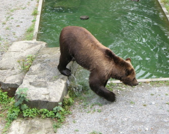 photo 1127452