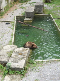 photo 1127455