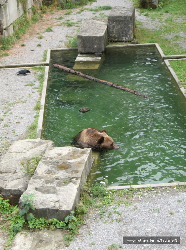 photo 1127455
