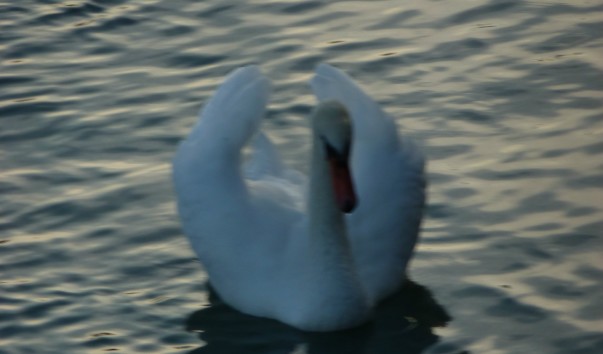 P1090368