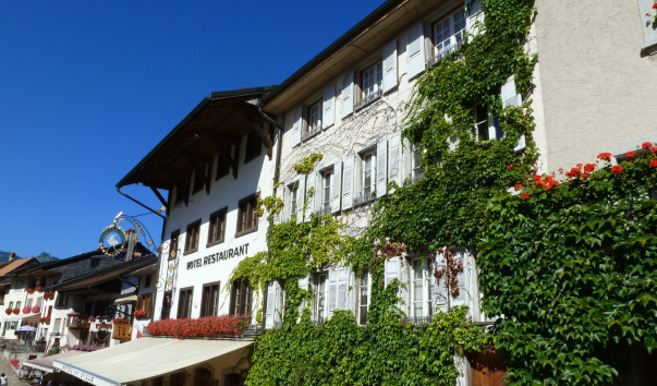 P1080627
