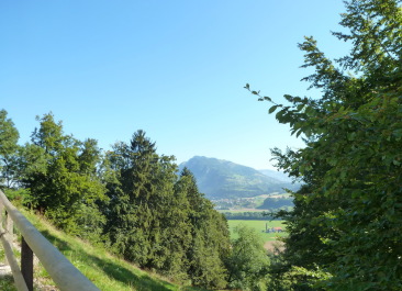 photo 607459