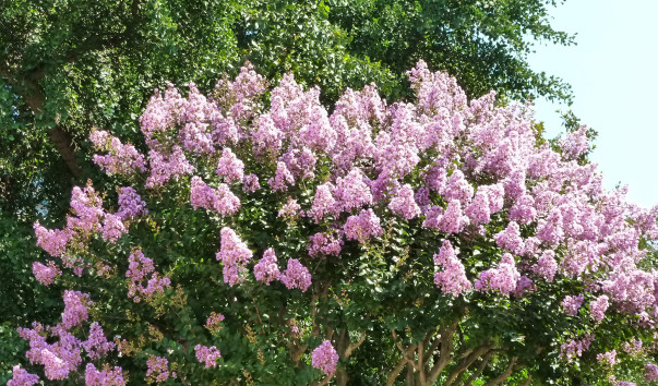P1080830