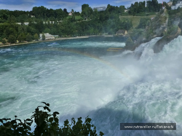 photo 519324