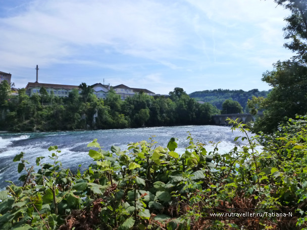 photo 519331