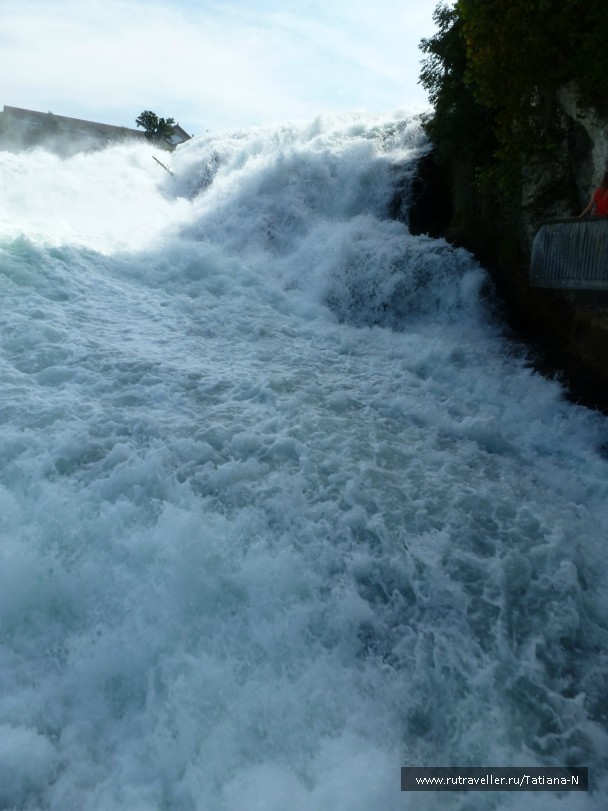 photo 519315