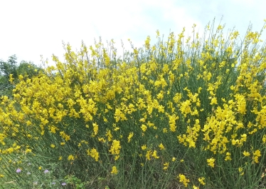 photo 772203