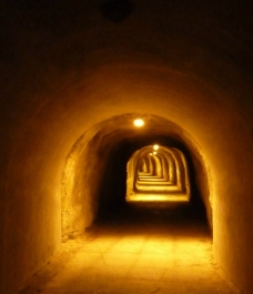 photo 790268