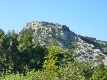 photo 792676