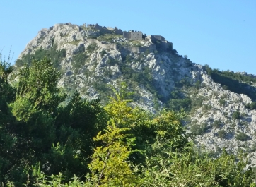 photo 792678