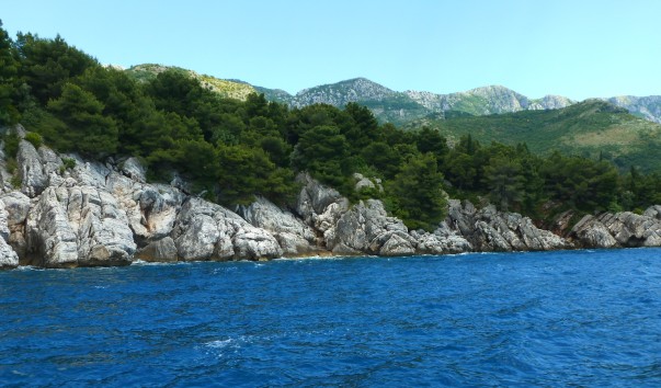 P1110591