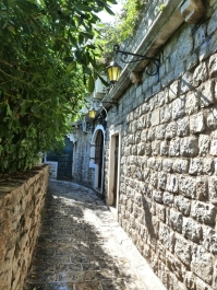 photo 772222