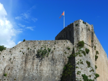 photo 772245