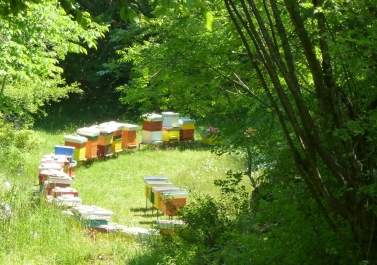 photo 780857