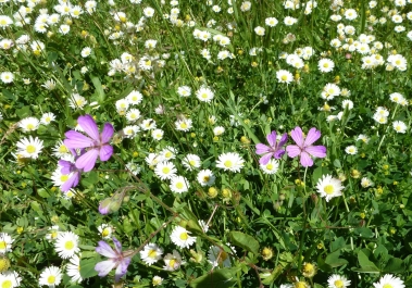 photo 780860