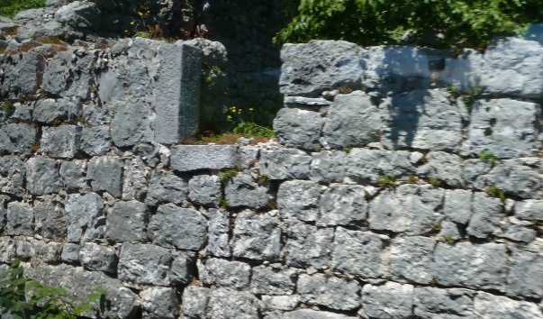 P1110261