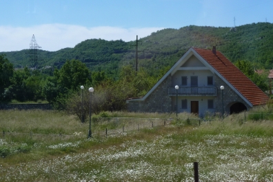 photo 780864