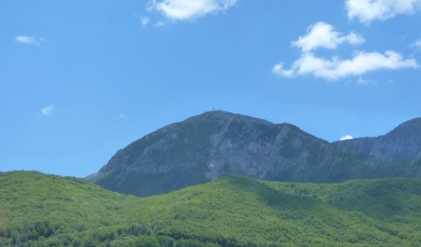 P1110331