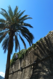 photo 828193