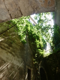 photo 829358