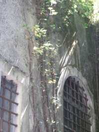 photo 829359