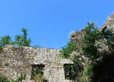 photo 829580