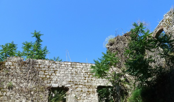 P1120576