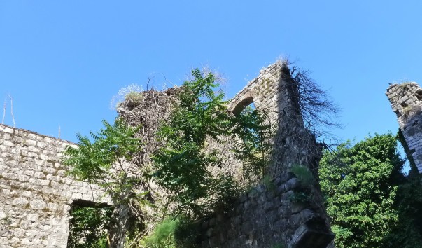 P1120575