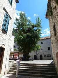 photo 830198