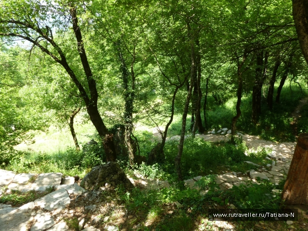 photo 785013