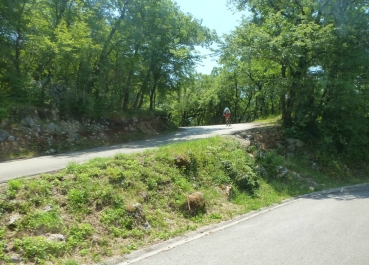 photo 785114