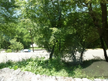 photo 785117