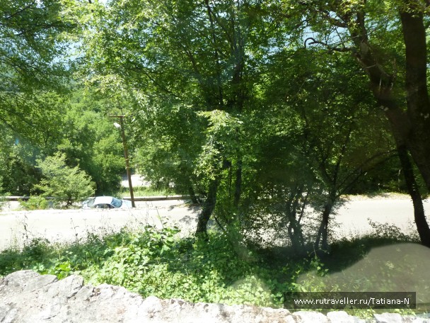 photo 785117