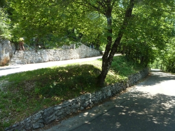 photo 785118